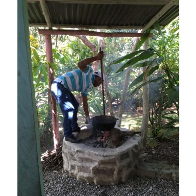 Plantation to Pot