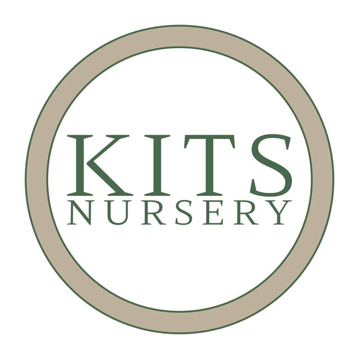 Kits Nursery